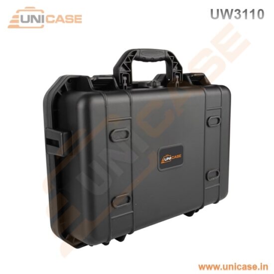 Hard plastic compact carry case for musical instrument case with foam